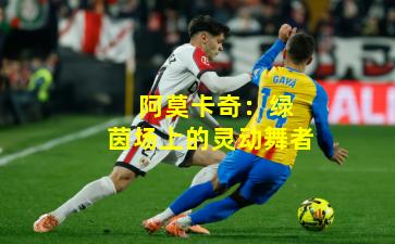  阿莫卡奇：绿茵场上的灵动舞者