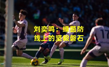 刘奕鸣：绿茵防线上的坚毅磐石