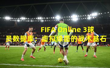 FIFA Online 3球员数据库：虚拟绿茵的战术基石