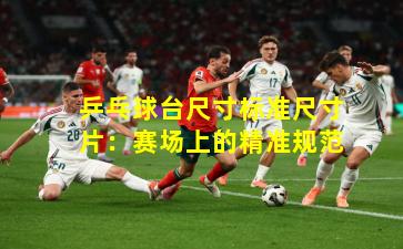 乒乓球台尺寸标准尺寸片：赛场上的精准规范