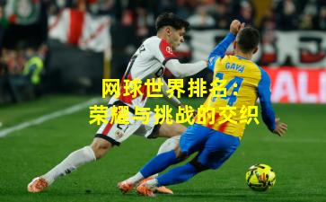 网球世界排名：荣耀与挑战的交织