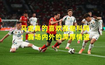 马龙真的喜欢张继科吗:赛场内外的深厚情谊 马龙真的喜欢张继科吗:赛场内外的深厚情谊