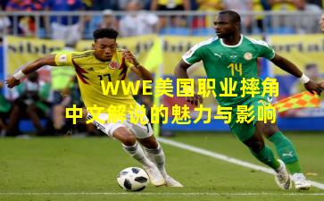 WWE美国职业摔角中文解说的魅力与影响